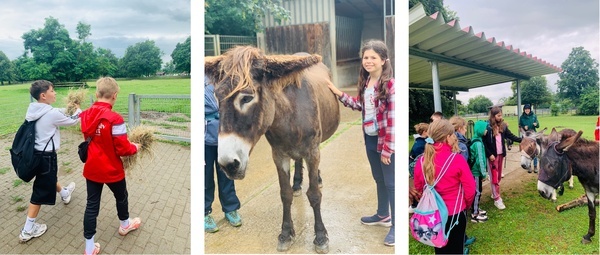 Die Klasse 5d auf dem Mundenhof