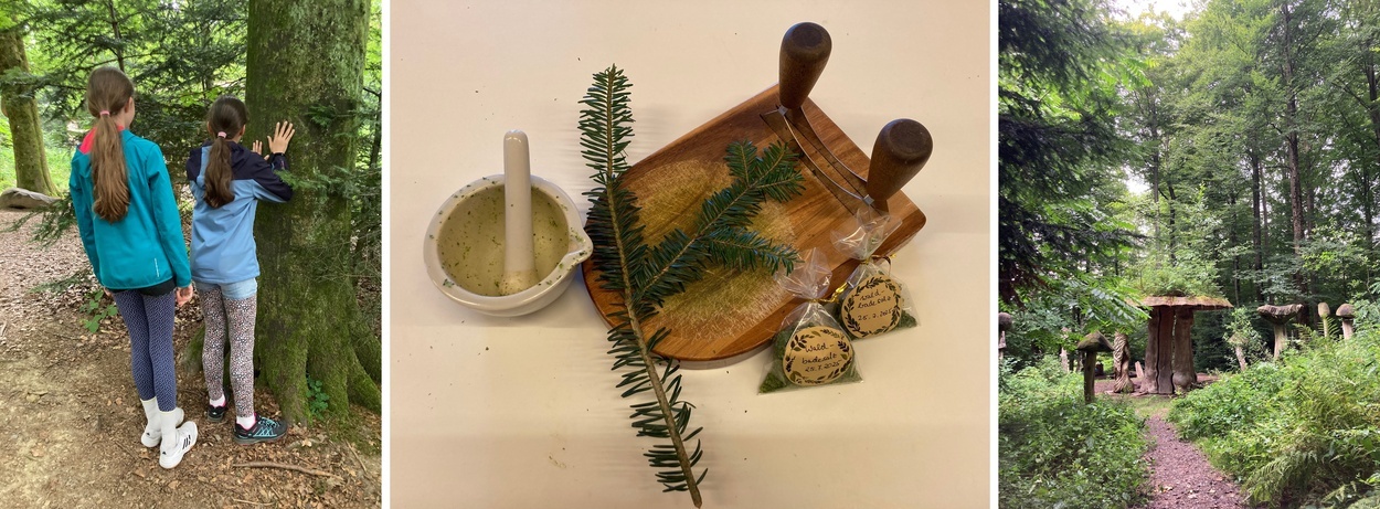 Projekttage 2025 "WaldHaus Freiburg" Projekttage 2025 "WaldHaus Freiburg"